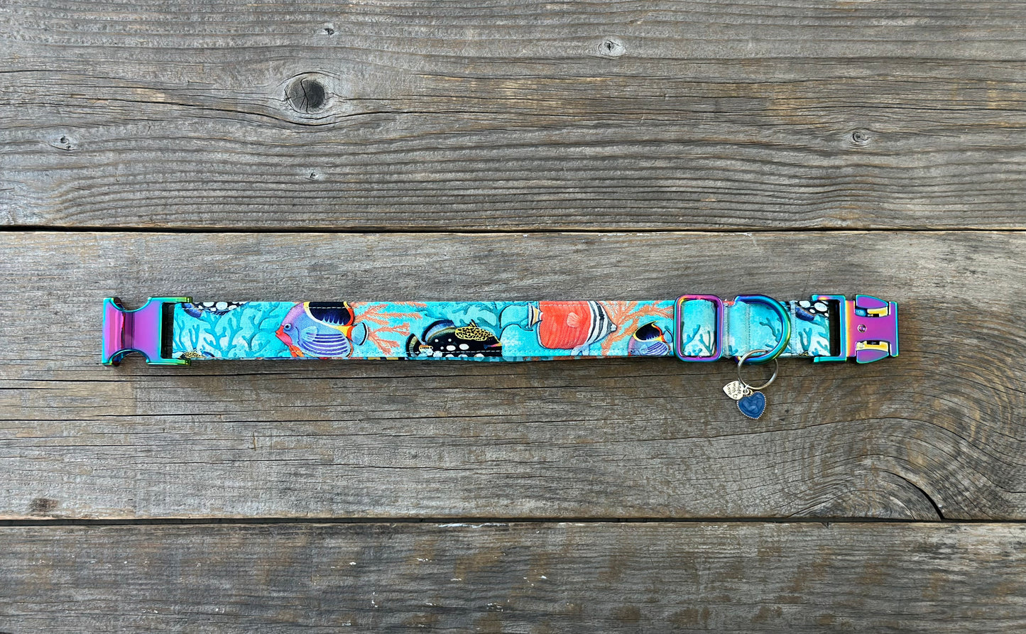 Reef Wonders -Dog Collar