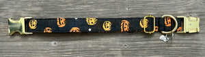 Pumpkin Palooza -Dog Collar