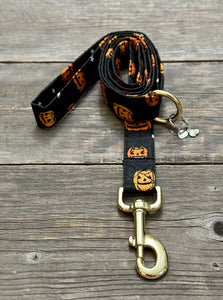 Pumpkin Palooza -Dog Leash