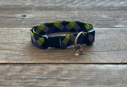 Monster Mash -Dog Collar