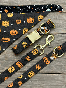 Pumpkin Palooza -Dog Collar