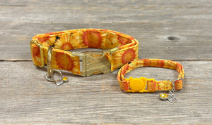 Sunny Days Ahead - Cat Collar