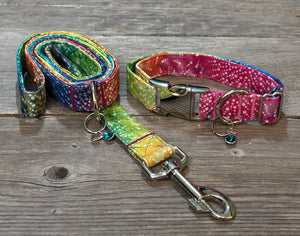 Kaleidoscopic -Dog Leash