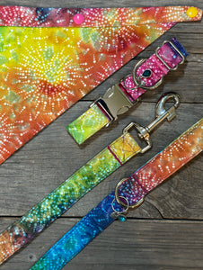 Kaleidoscopic -Dog Leash