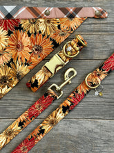 Load image into Gallery viewer, Fields of Gold -Dog Leash
