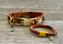 Load image into Gallery viewer, Fields of Gold -Dog Collar
