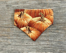 Load image into Gallery viewer, Double-Sided Cat Bandanna -Pick of the Patch &amp; Pumpkin Bumpkin
