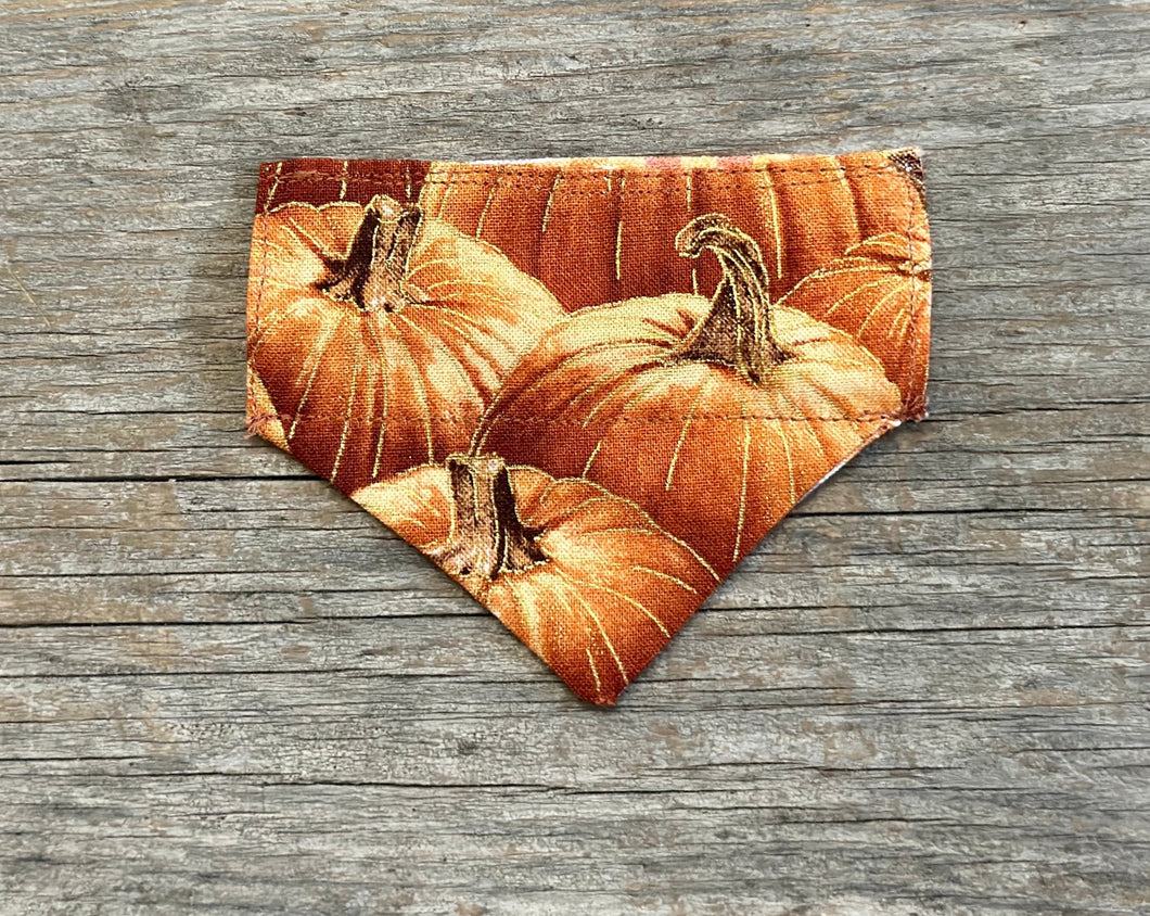 Double-Sided Cat Bandanna -Pick of the Patch & Pumpkin Bumpkin