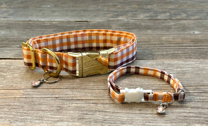 Pumpkin Bumpkin -Dog Collar