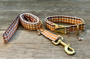 Pumpkin Bumpkin -Dog Collar