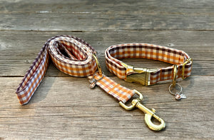 Pumpkin Bumpkin -Dog Leash