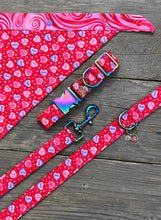 Load image into Gallery viewer, Love Notes -Dog Collar
