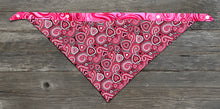 Load image into Gallery viewer, Double-Sided Dog Bandanna - Bella &amp; Whirlwind Romance
