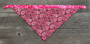 Double-Sided Dog Bandanna - Bella & Whirlwind Romance