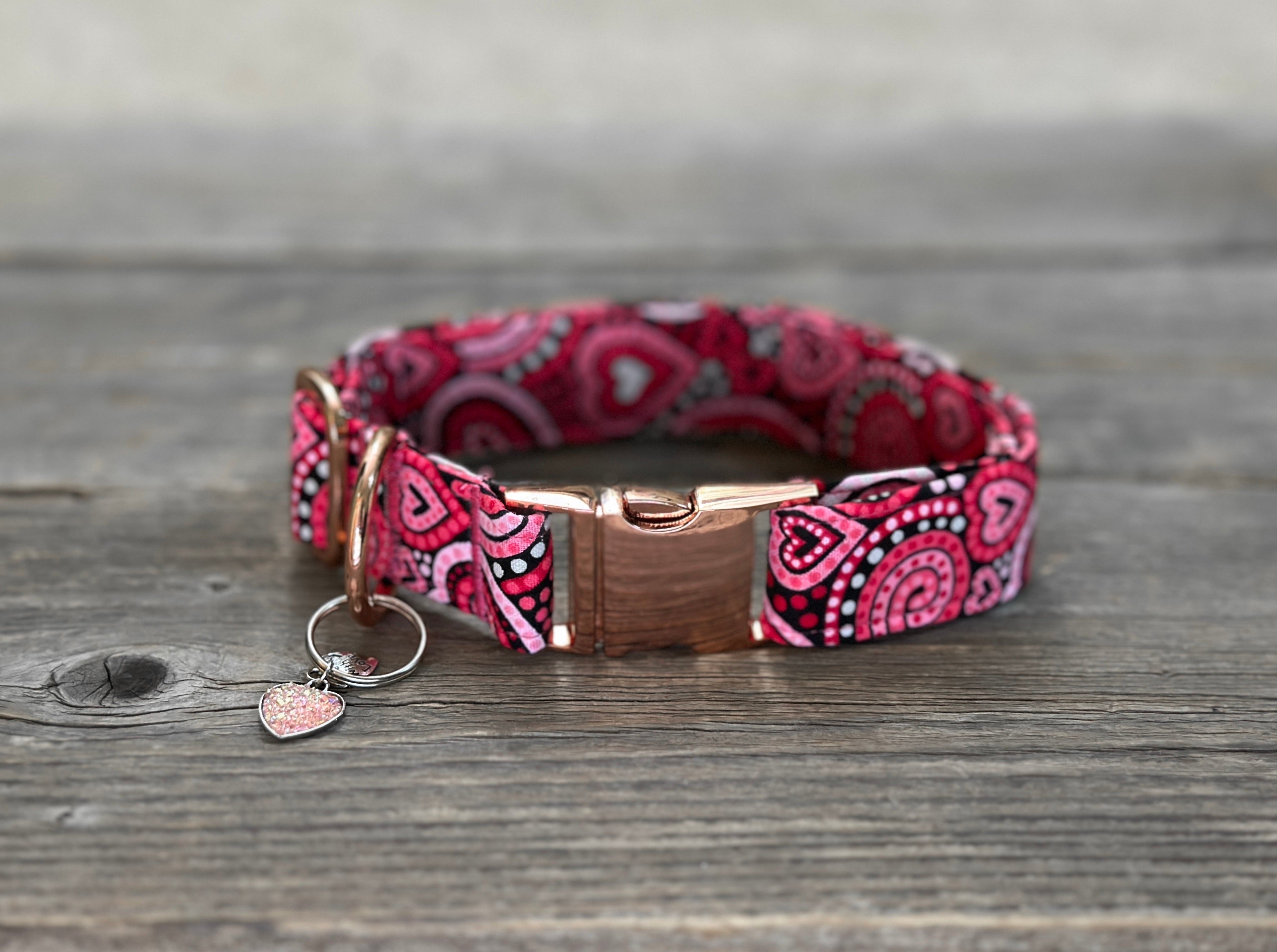 Bella 2024 dog collars