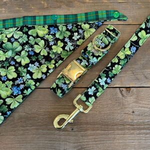 Irish Wildflower -Dog Leash