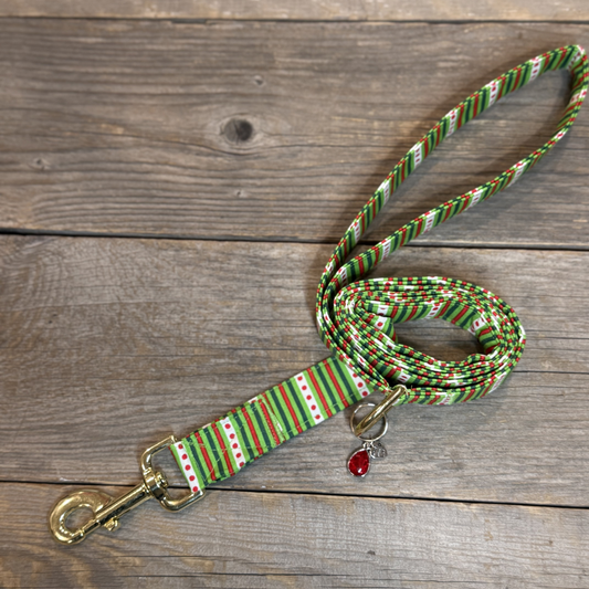 Mischief Maker -Dog Leash