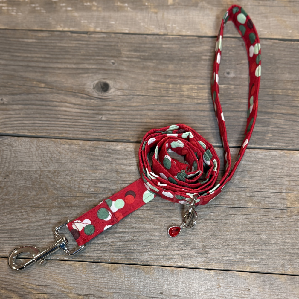 Pop of Joy - Dog Leash