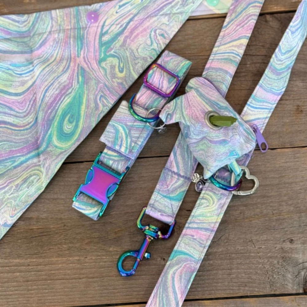 Girl Mystery Box for Dogs