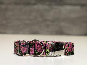 Sadie- Dog Collar