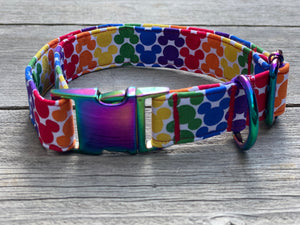 Rainbow Mickey -Dog Collar