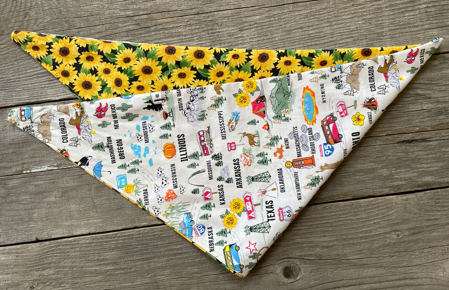 Double-Sided Dog Bandana