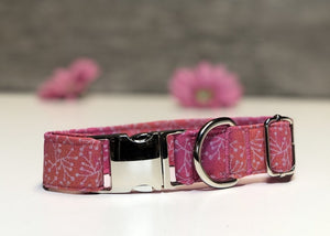 Make a Wish - Dog Collar