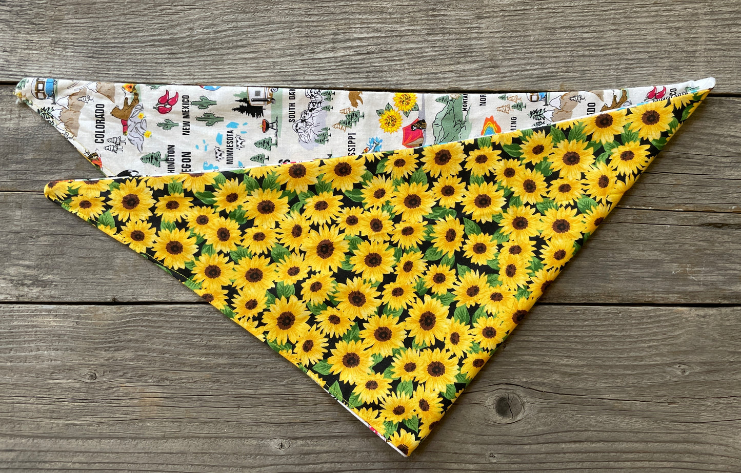 Double-Sided Dog Bandana