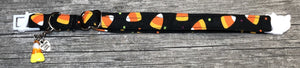 Trick or Treat - Cat Collar