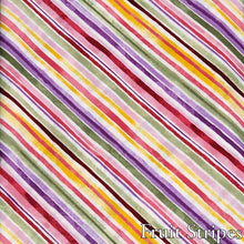 Load image into Gallery viewer, Fruit Stripes- Dog Collar
