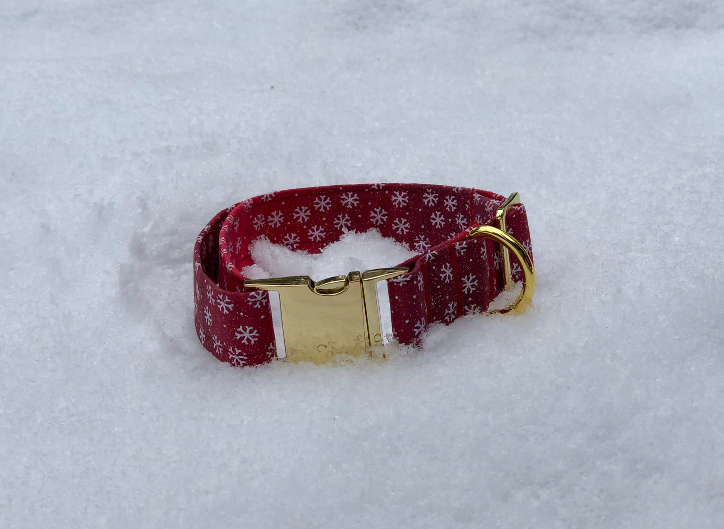 Baby it’s Cold Outside - Dog Collar
