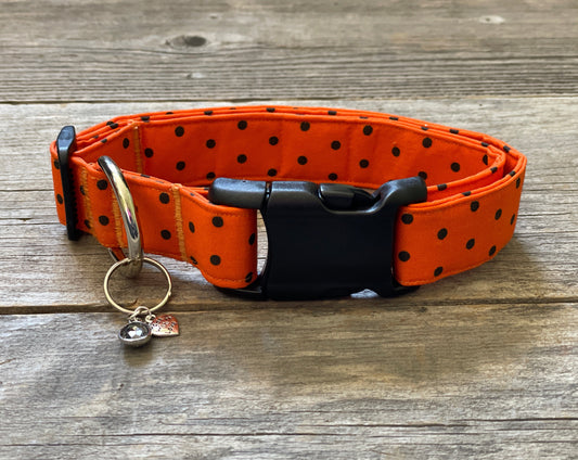 Let the Ghoul Times Roll -Dog Collar