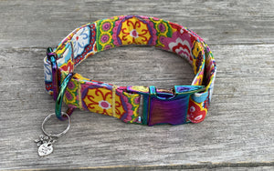 Carnivàle -Dog Collar