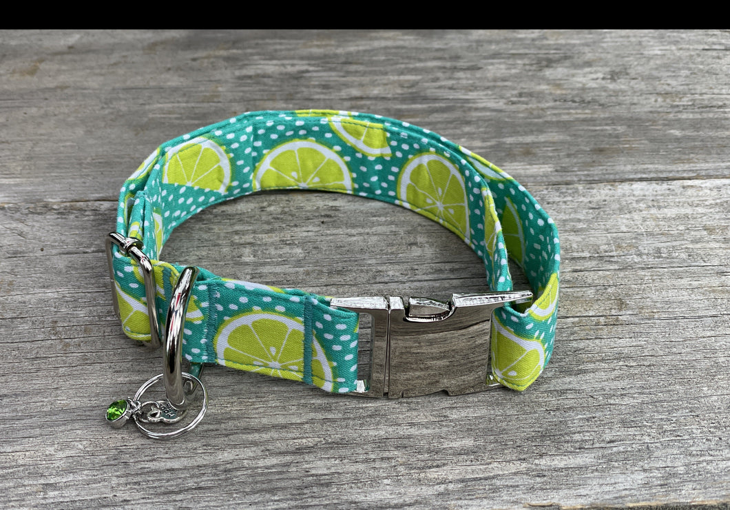 Margaritaville -Dog Collar