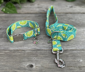 Margaritaville -Dog Collar