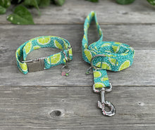 Load image into Gallery viewer, Margaritaville -Dog Leash
