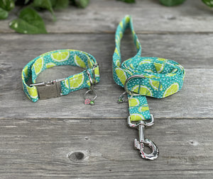 Margaritaville -Dog Leash