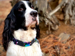 Disney Mickey Mouse Silhouette -Dog Collar