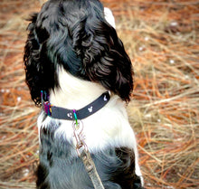 Load image into Gallery viewer, Disney Mickey Mouse Silhouette -Dog Collar
