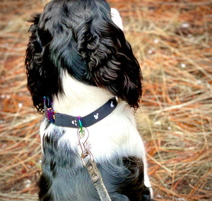 Disney Mickey Mouse Silhouette -Dog Collar