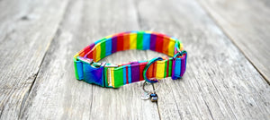 Celebrate -Dog Collar