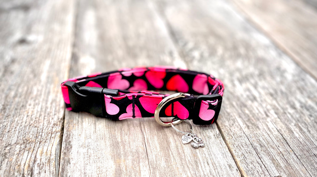 My Love -Dog Collar