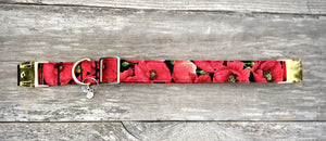 Remembrance -Dog Collar