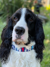 Load image into Gallery viewer, A Whale of a Time -Dog Collar
