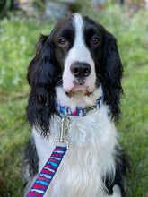 Load image into Gallery viewer, A Whale of a Time -Dog Collar
