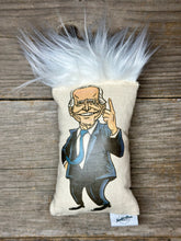 Load image into Gallery viewer, President Joe Biden Kitty Kicker - Cat Toy
