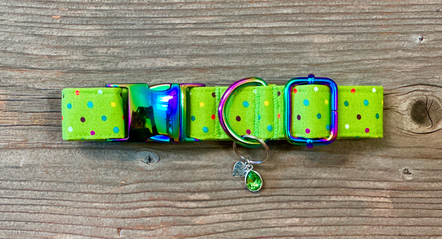 Polka Party -Dog Collar