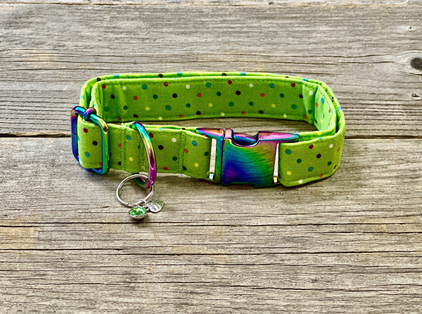 Polka Party -Dog Collar