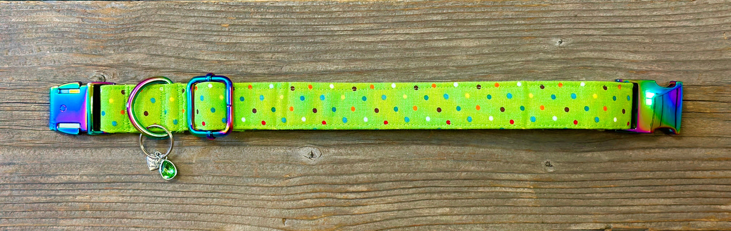 Polka Party -Dog Collar