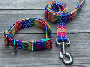 Rainbow Mickey -Dog Leash